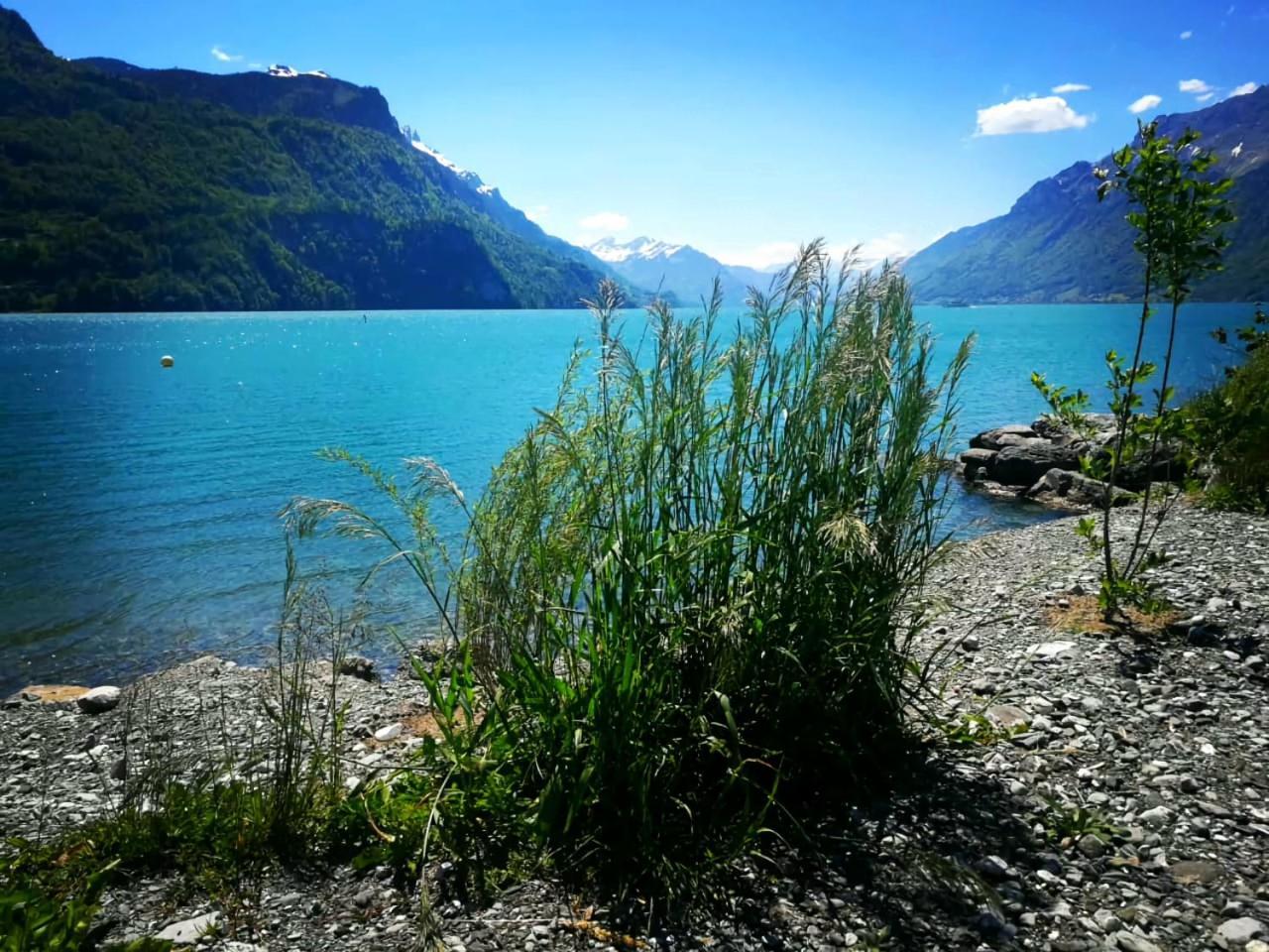 Gemuetliche Fewo Mit Sauna Inmitten Der Berge Meiringen Luaran gambar