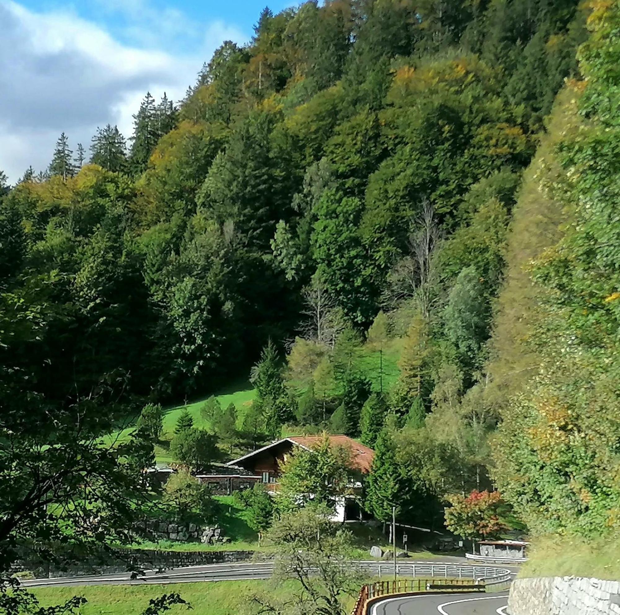 Gemuetliche Fewo Mit Sauna Inmitten Der Berge Meiringen Luaran gambar